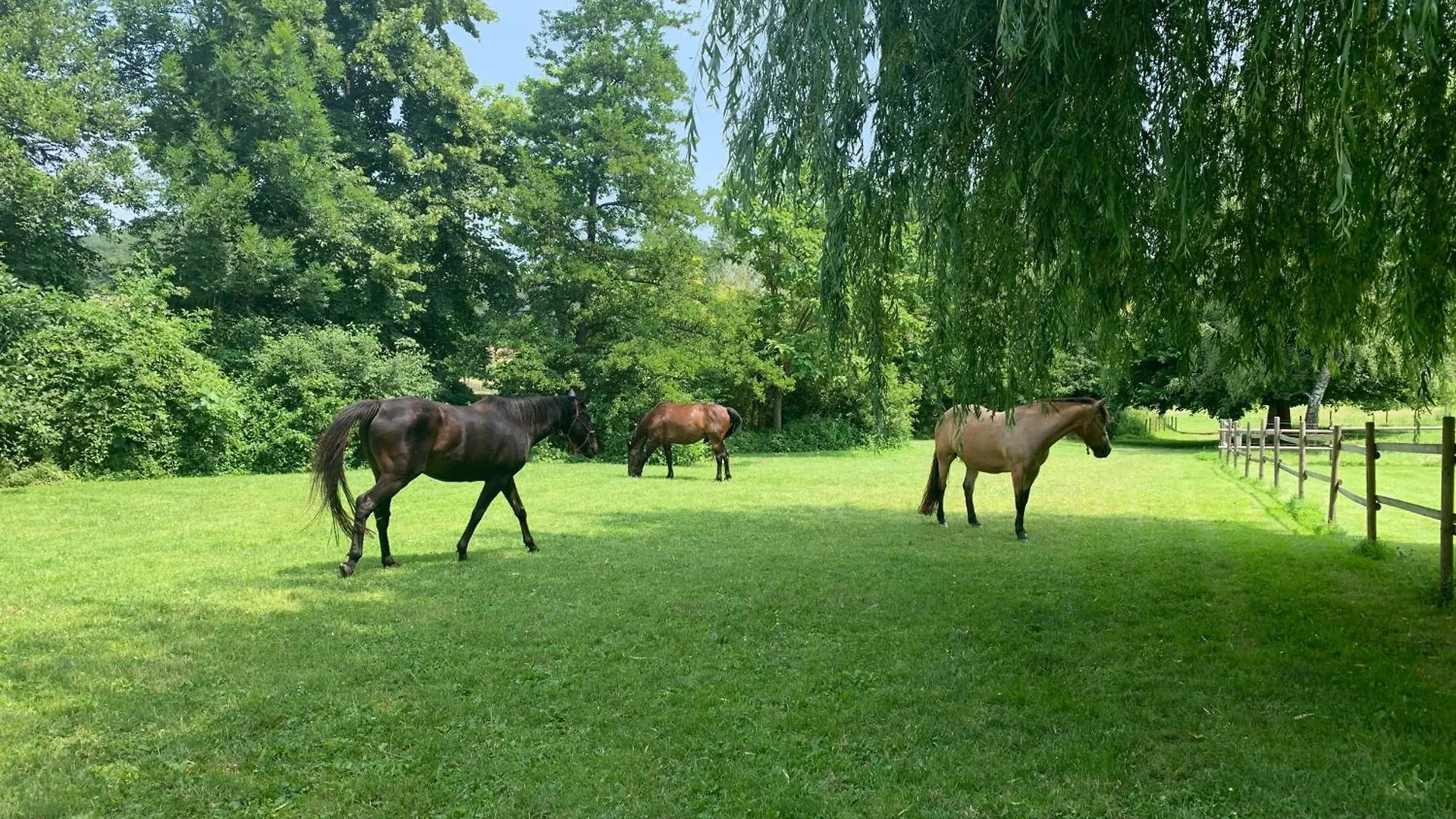 Séjour à la ferme Gite Equestre Drôme des Collines Claveyson